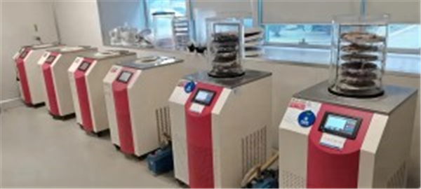 實驗室冷凍干燥機(jī)的安全操作與防護(hù)措施